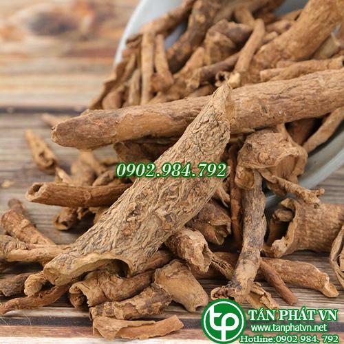 [TÚI LỚN 1KG]Ngũ gia bì sấy khô hàng công ty chất lượng cao - chuyên dùng để hỗ trợ cải thiện tình trạng đau nhứt xương khớp - Thảo Dược Tấn Phát