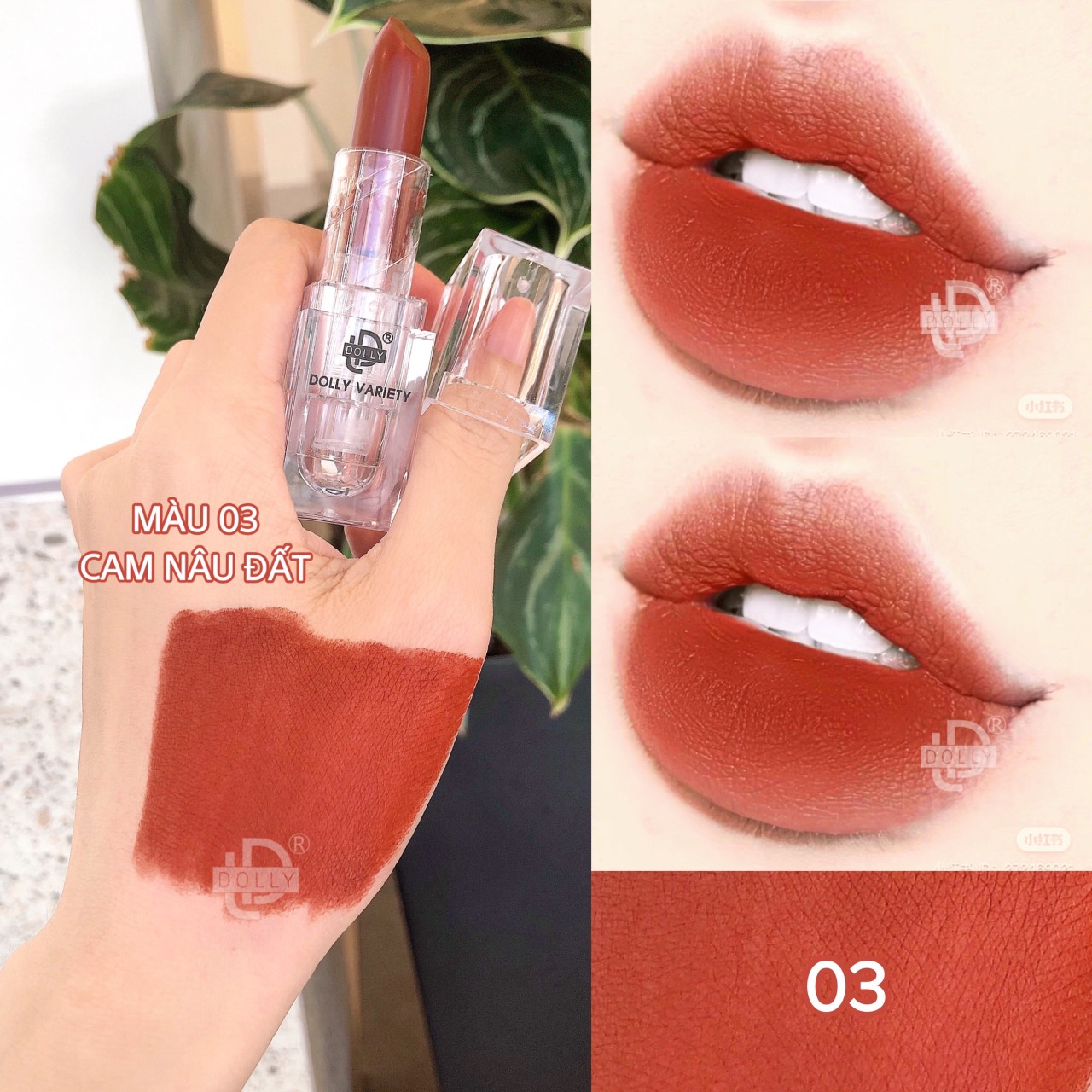 Son Lì Son Sáp VARIETY DOLLY Không Chì Cao Cấp  