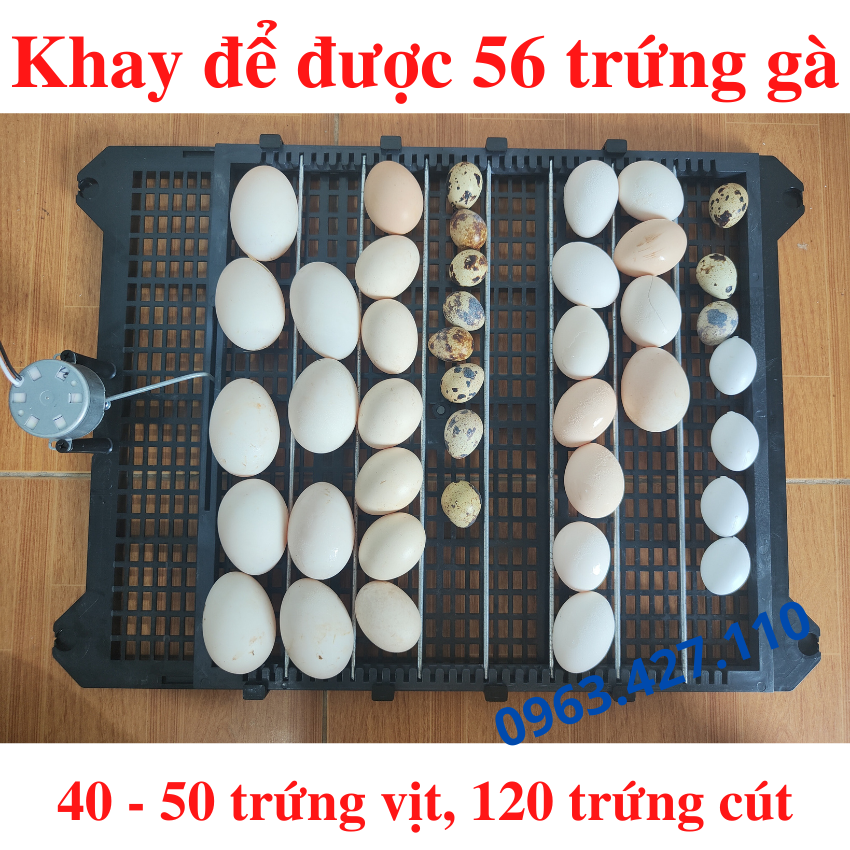 Bộ máy ấp trứng tự động