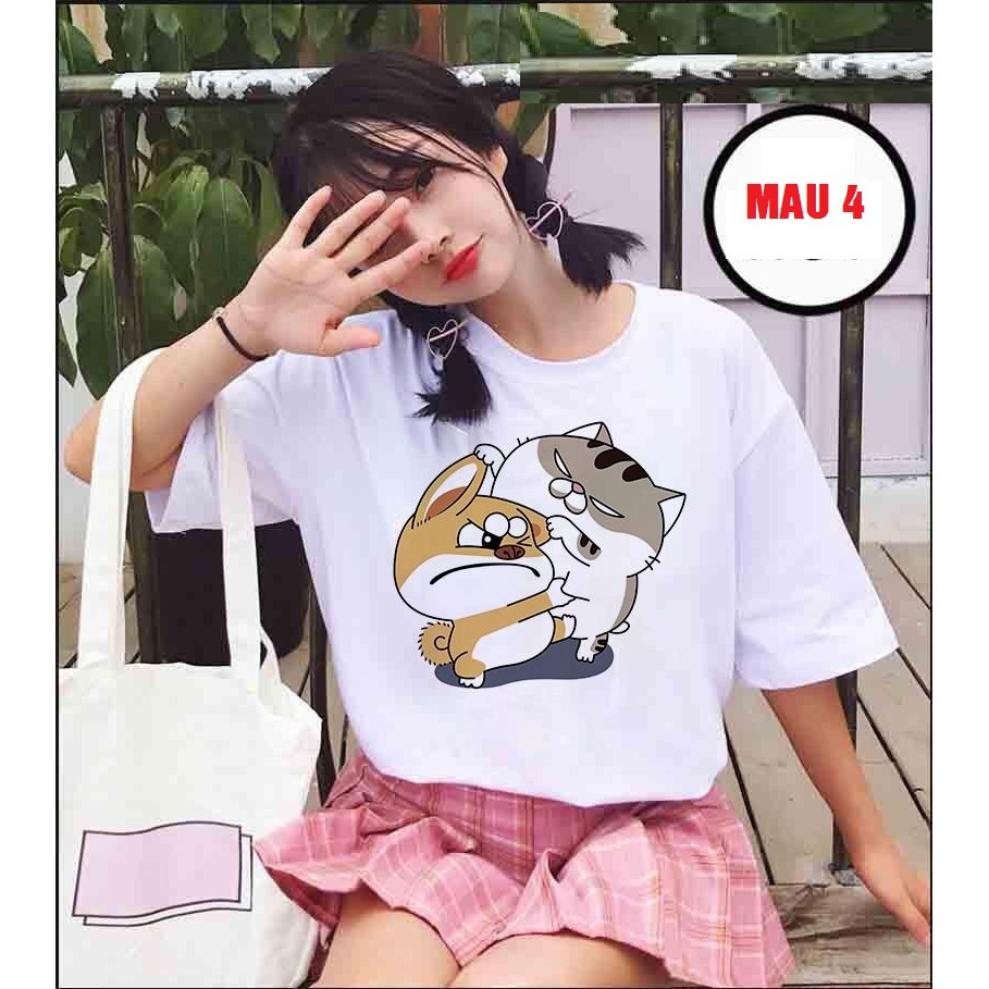 Áo phông mèo Ami bụng bự HARI0520