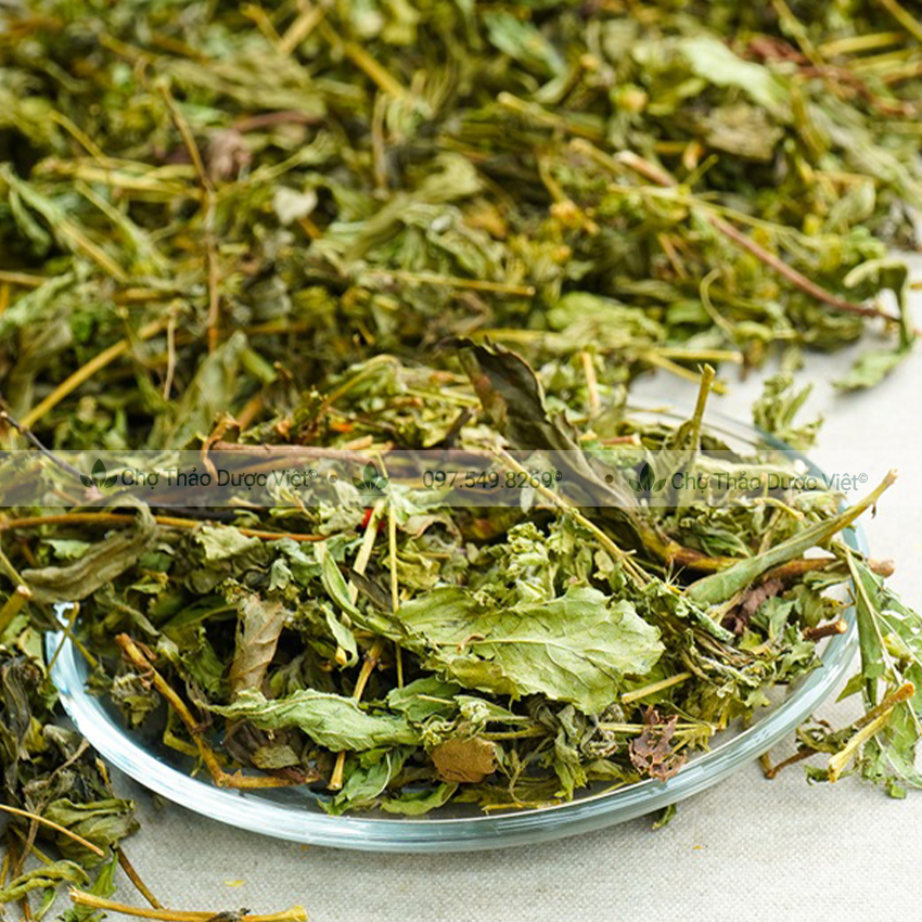 Cỏ ngọt 100g, trà cỏ ngọt sấy khô, vị ngọt tự nhiên, điều vị, đường ăn kiêng tốt cho tiểu đường