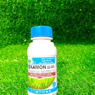 DEKAMON 100ml kích thích sinh trưởng cho lan