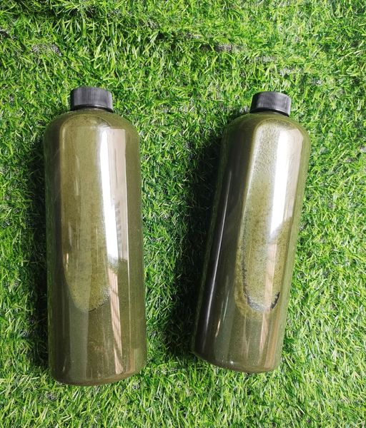 Peel da vi tảo, thay da sinh học cho da mặt, nách, lưng sỉ 1 lít