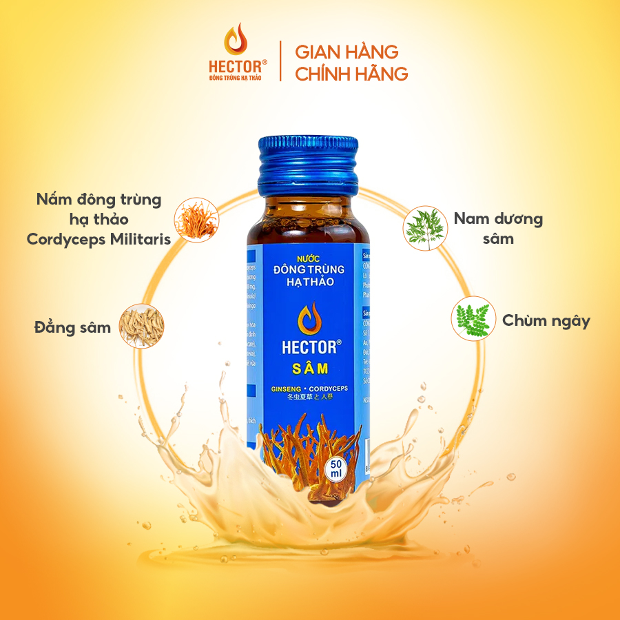 Combo 3 hộp Nước uống Đông Trùng Hạ Thảo Hector Sâm (50mlx30chai)