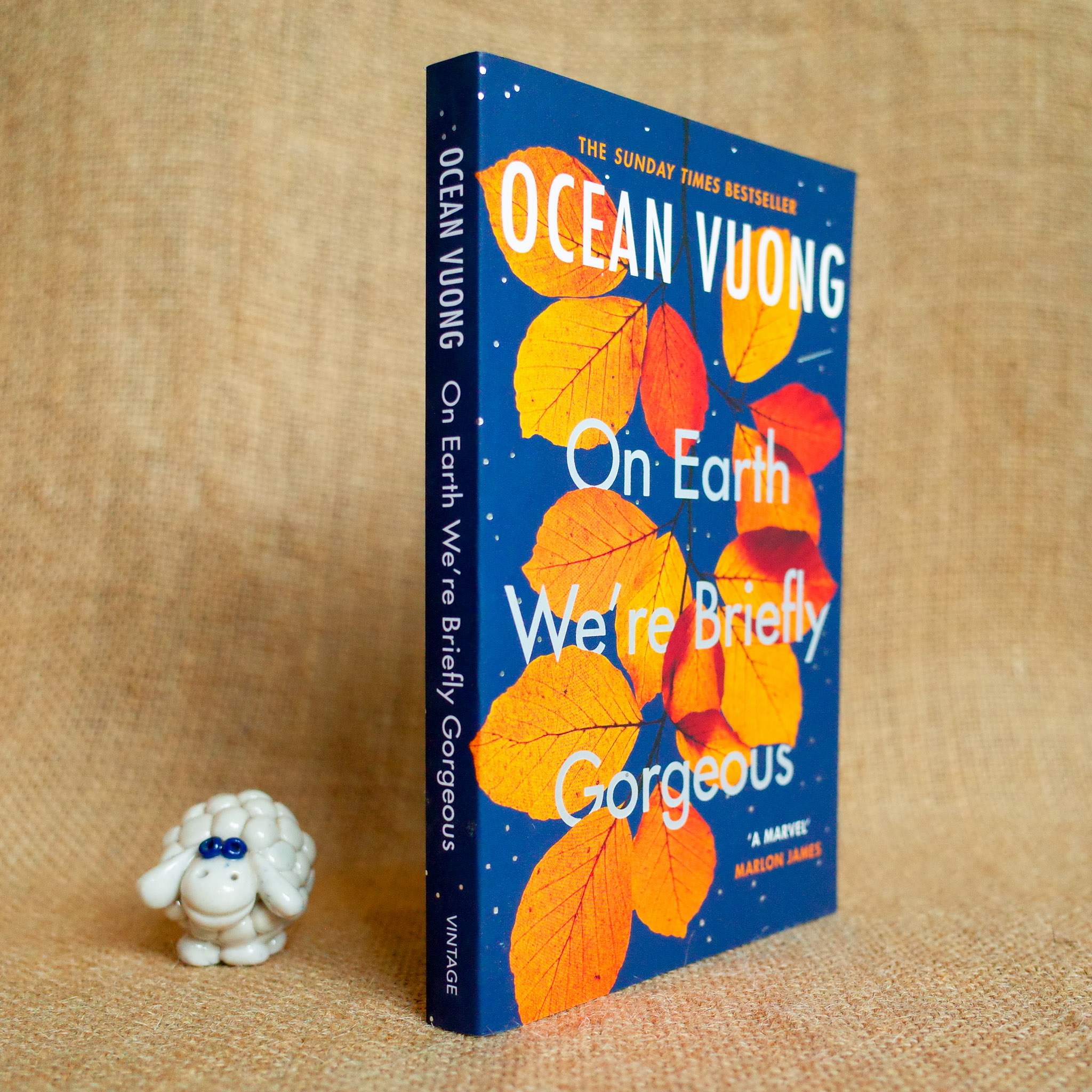 On Earth We're Briefly Gorgeous [UK] - Ocean Vuong - Moonbird