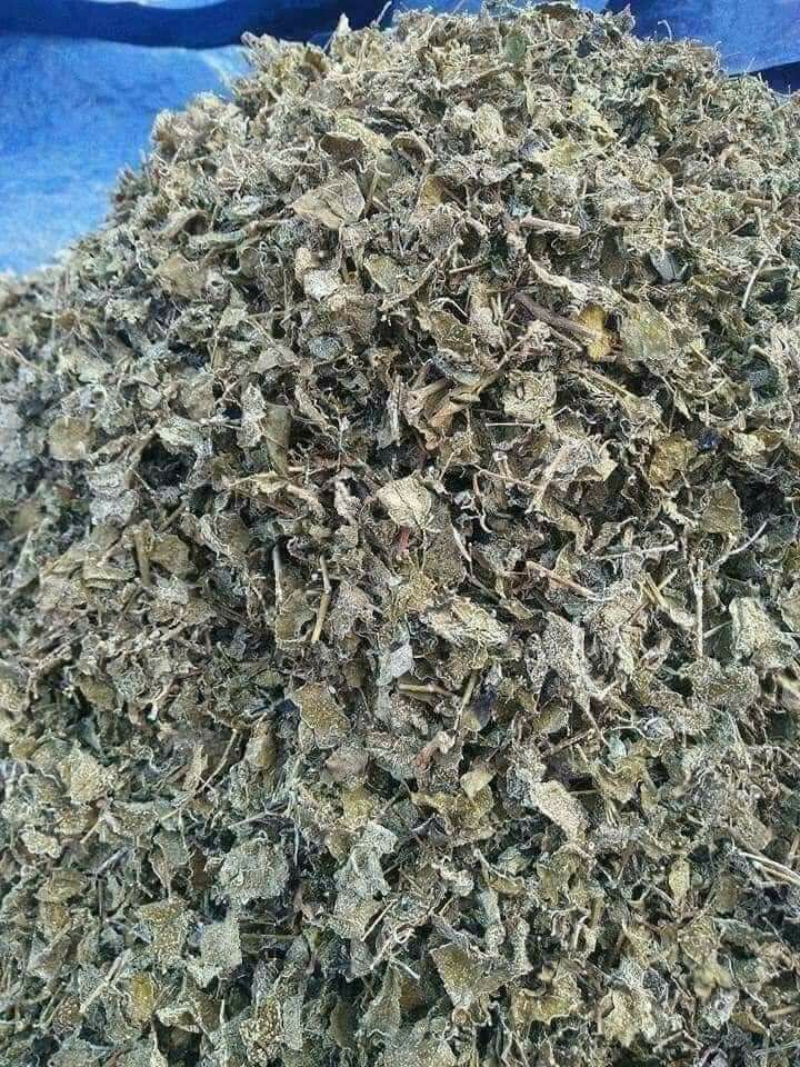 Gói chè dây khô (1kg)