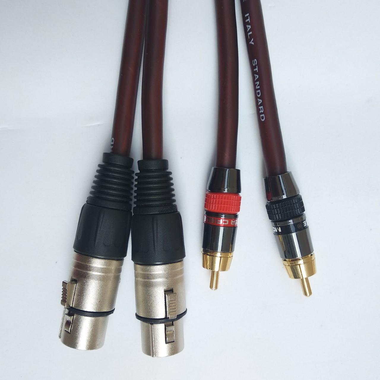 Cặp dây Jack Canon Cái ra AV 1m