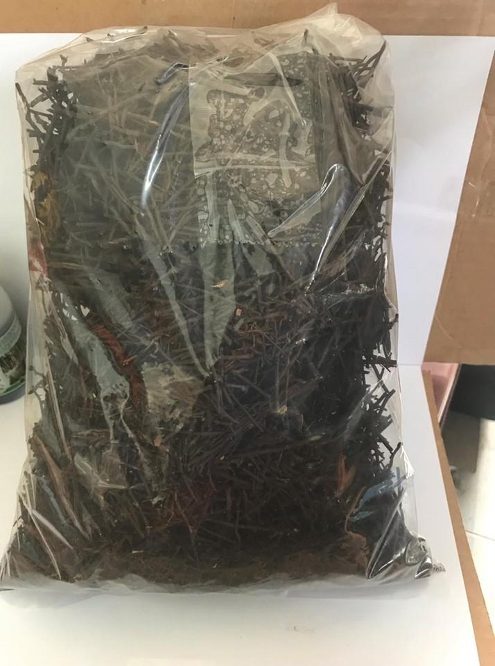Dớn sợi trồng lan gói 500g