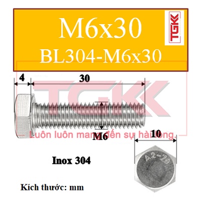 Bulong inox 304 m6