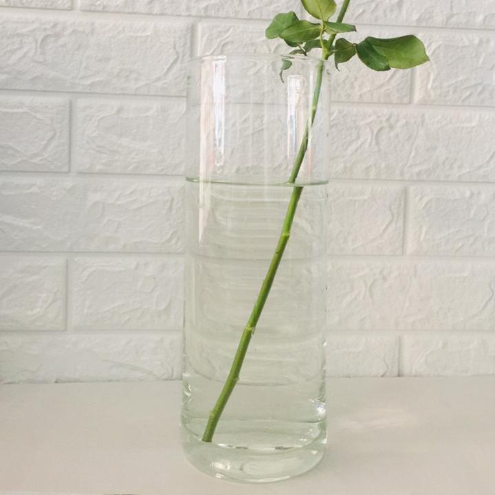 Chậu thủy tinh cắm hoa 10x30cm