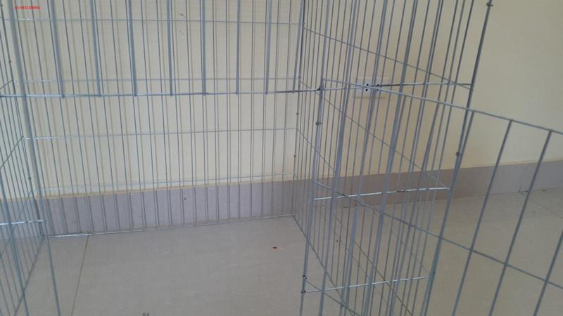 Lồng nuôi gà khổ 80x80x80 không khay tôn