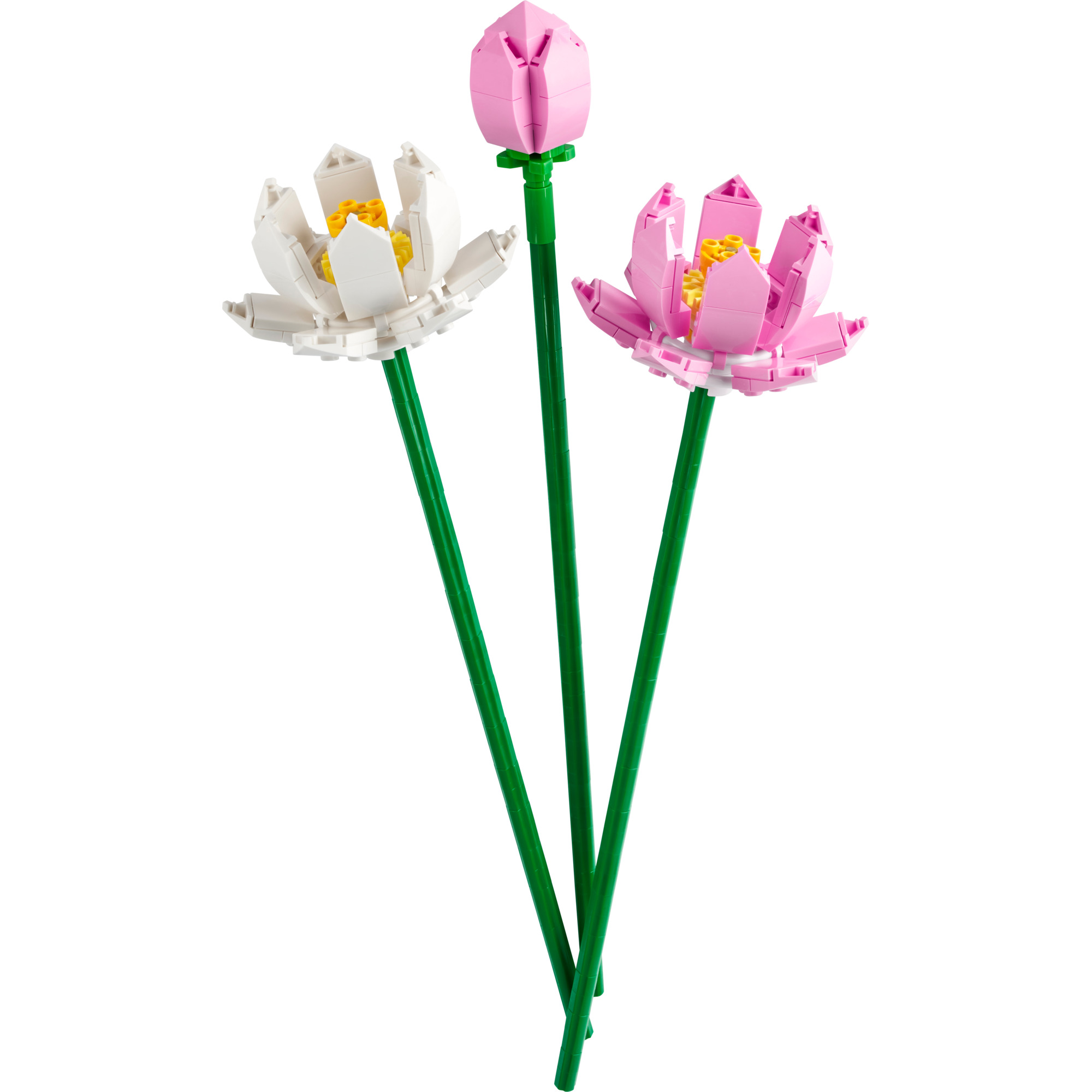LEGO FLOWER 40647 Đồ chơi lắp ráp Hoa sen LEGO® (220 Chi Tiết)
