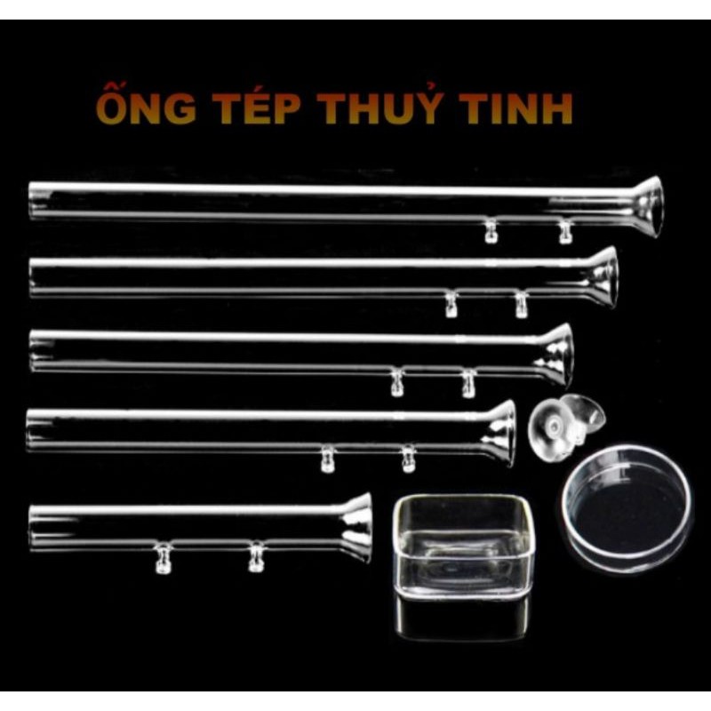 Ống cho tép ăn thủy sinh - chén tép ăn, dụng cụ cho tép cảnh cá cảnh ăn