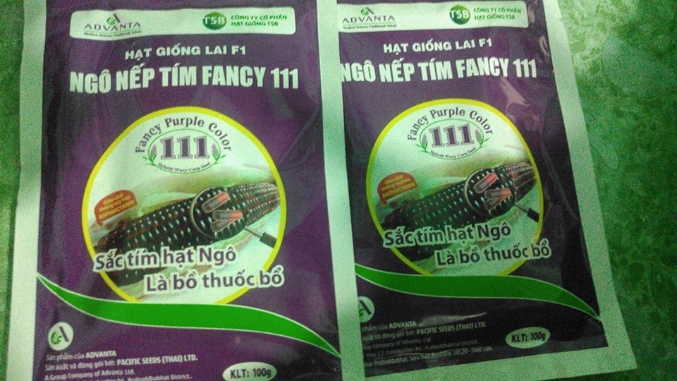 Hạt giống ngô nếp tím ( bắp nếp tím ) 1 gói 100gr