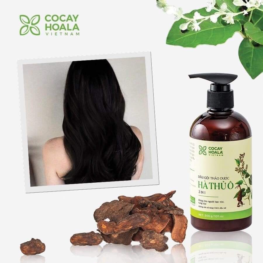 Dầu gội thảo dược Hà Thủ Ô.