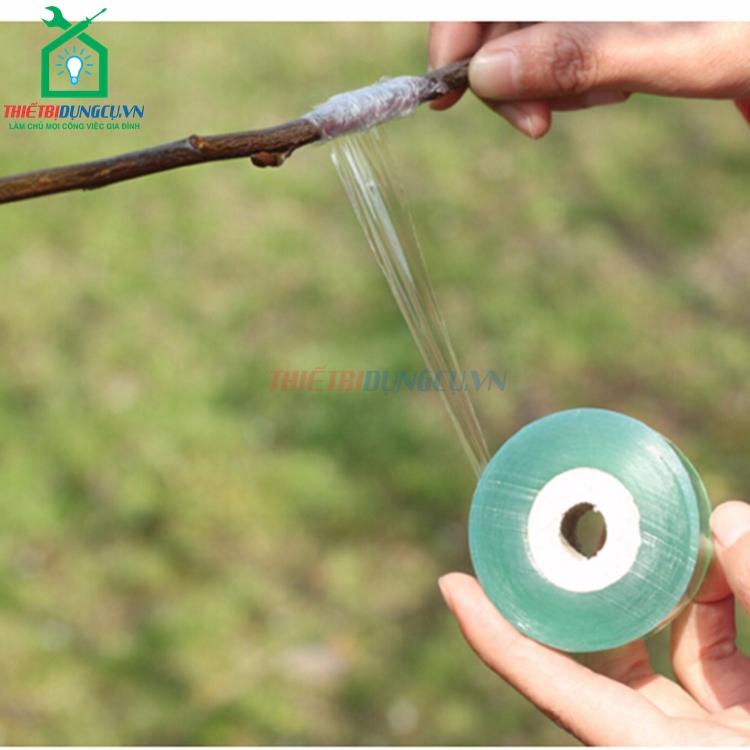 Băng ghép cây cuộn xanh 8cm