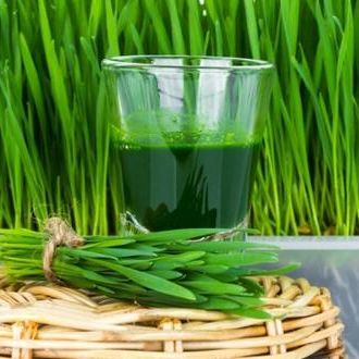Hạt Giống Cỏ Lúa Mì/Mầm Lúa Mạch Dễ Trông, Thơm Ngon (100gr)