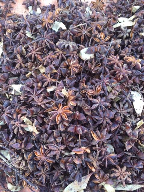 100g Hoa Hồi Khô Lạng Sơn