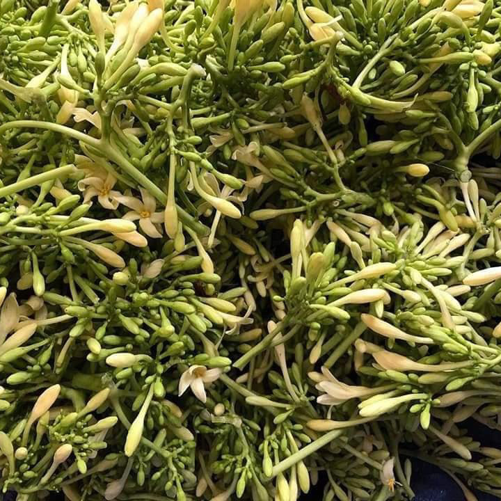 250g Hoa đu đủ đực khô, không pha trộn