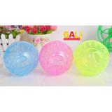 Banh chạy cho Hamster 2in1 Galvietnam
