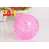 Banh chạy cho Hamster 2in1 Galvietnam