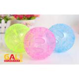 Banh chạy cho Hamster 2in1 Galvietnam