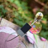 Bể cá hình bóng đèn + giá treo inox có đèn
