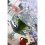 [HCM]BỂ CÁ THỦY TINH D20 CM X H21 CM CHẬU CÂY LY CHÂN