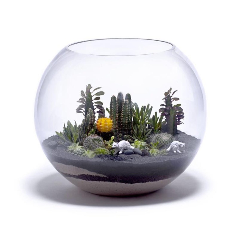 [HCM]Bể cá thủy tinh chậu cây thủy tinh tròn 10cm x 8cm T07 ( Tặng kèm 1 bịt sỏi và 1 bịt rong nhựa )