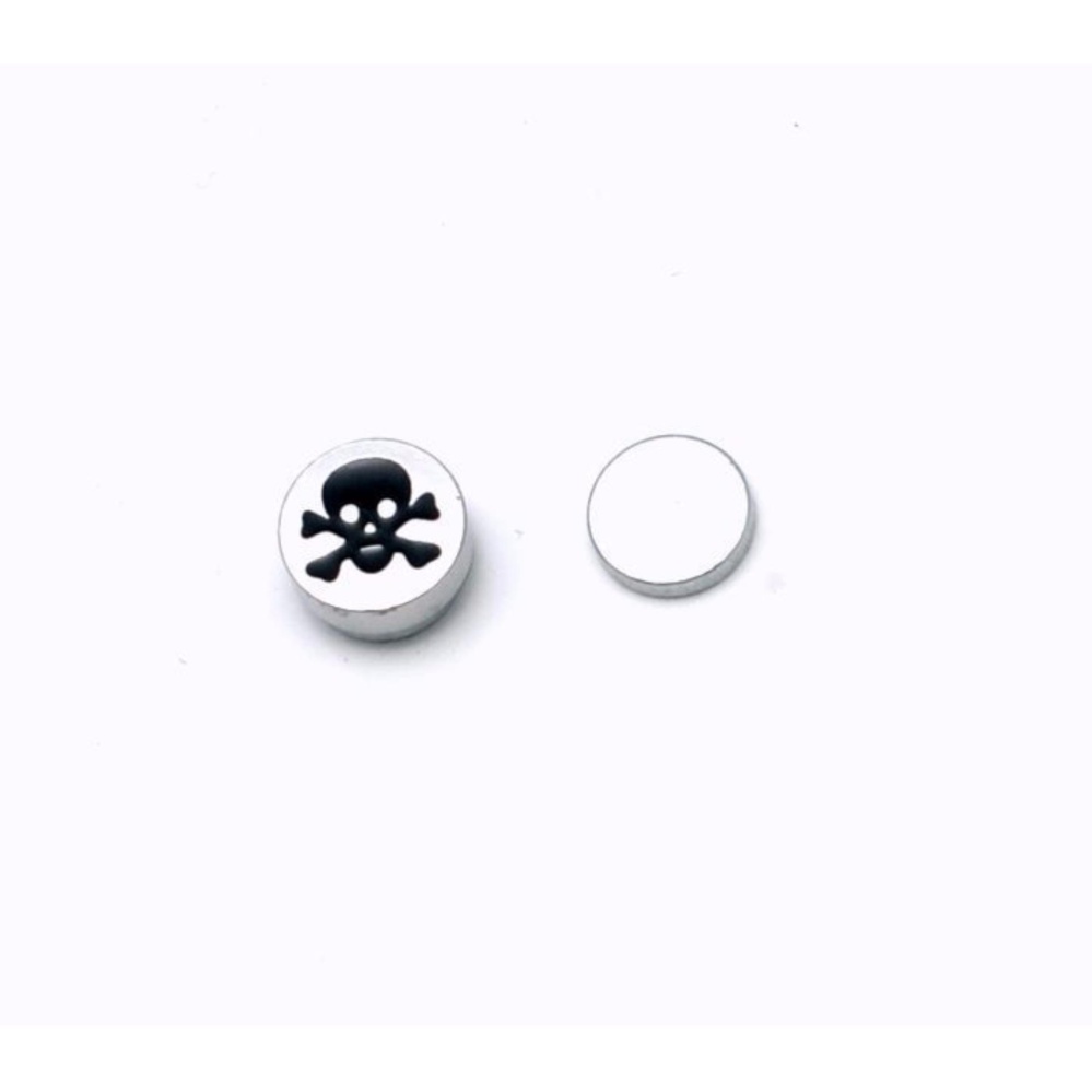 Bộ 2 bông tai nam châm hình đầu lâu 8mm BNC08