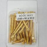 Bộ ốc kiểu Xi mạ Vàng dành cho lốc máy Dream và Wave