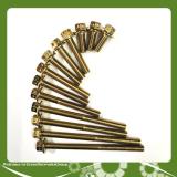 Bộ ốc vương miệng dành cho lốc máy xe Dream