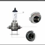Bóng đèn OS-RAM H7 Original 12V 55W (Sáng vàng nắng)