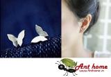 Bông tai hình bướm trắng Simple Style phong cách Châu Âu
