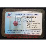 Chuỗi Vòng Đeo Tay Đá Ruby Tự Nhiên 5mm Rb01 Legaxi