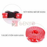 Dây dắt chó mèo 3-5kg - Dây dắt 004 Lớn