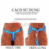 Dây dắt chó mèo 3-5kg - Dây dắt 004 Lớn