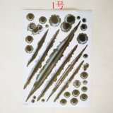 Đề can figure scrapes and hole stickers for motorcycle and car number 01