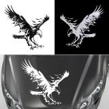 Decal hình Đại Bàng dán xe (Trắng)