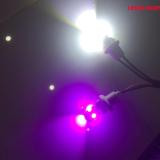 2 Bóng Đèn Led Gắn Đề Mi - Xi Nhan Xe Máy Loại 2W