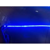 Đèn LED mí mắt xe hơi màu XANH cực chất