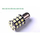 Đèn Phanh nhấp nháy LED 36 mắt màu xanh lá cây