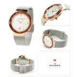 Đồng Hồ Nữ Skagen 456lrs - Dây Mắt Lưới