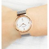 Đồng Hồ Nữ Skagen 456lrs - Dây Mắt Lưới
