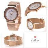 Đồng Hồ Thời Trang Skagen 358srrd