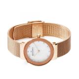 Đồng Hồ Thời Trang Skagen 358srrd
