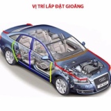 Gioăng cao su chống ồn xe hơi - Gioăng P