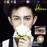 [HCM]Kính áp tròng 6 tháng BCC BROWN [0.00-6.00] ĐỘ