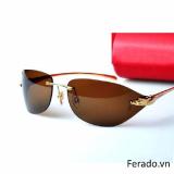 KÍNH NAM GỌNG BÁO BÒ