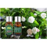 Lọ tinh dầu Aromatic World hoa hồng 10ml